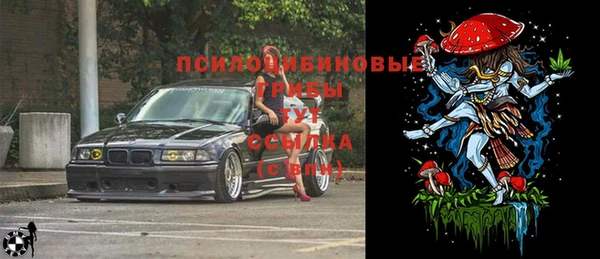 дживик Краснотурьинск