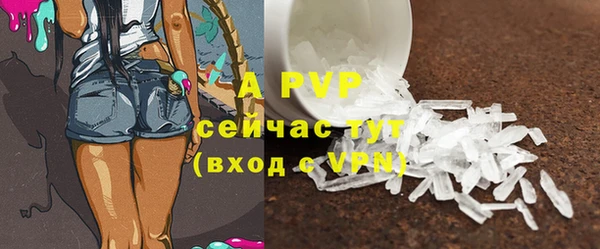 мяу мяу кристалл Корсаков